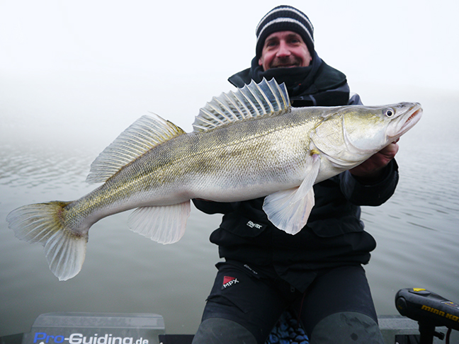 pro-guiding-zander16506