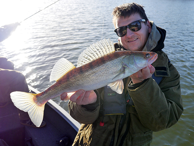 pro-guiding-zander16517