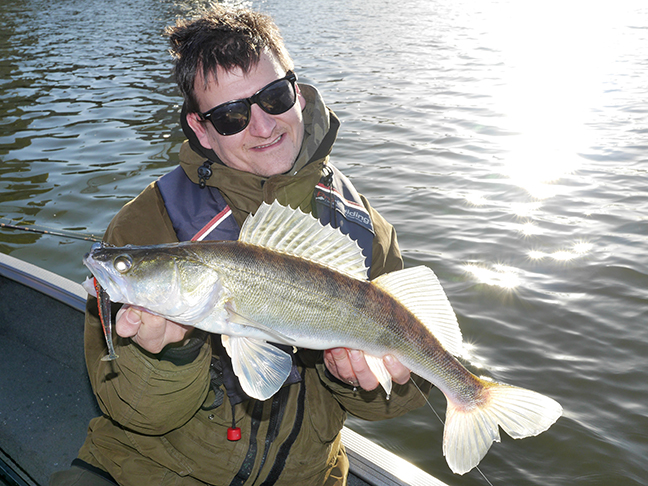 pro-guiding-zander16518