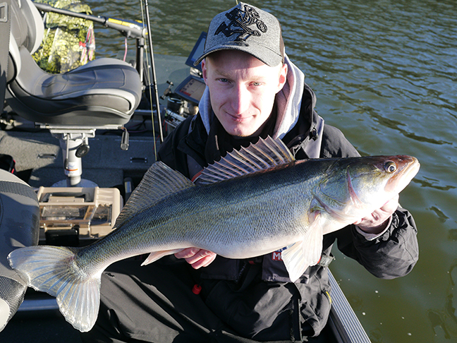 pro-guiding-zander16520