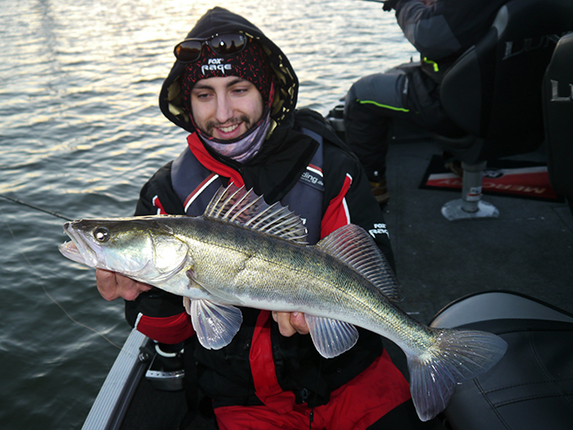 pro-guiding-zander16526