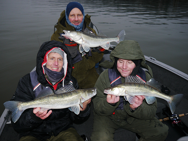 pro-guiding-zander16558