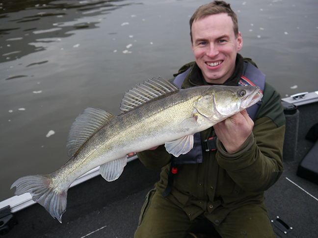 pro-guiding-zander16560