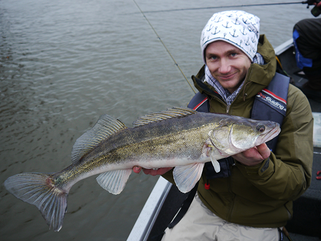 pro-guiding-zander16571