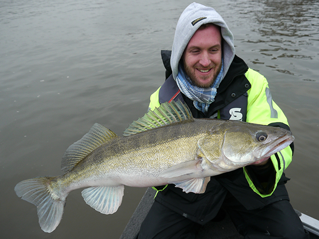 pro-guiding-zander16572