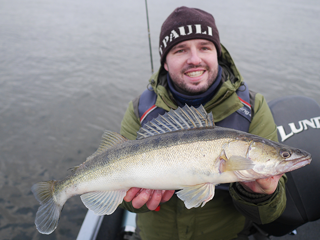 pro-guiding-zander16578