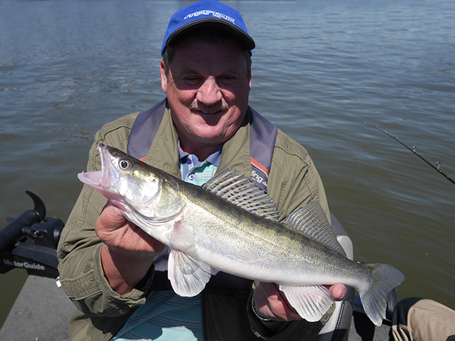 Pro-Guiding-Zander17028