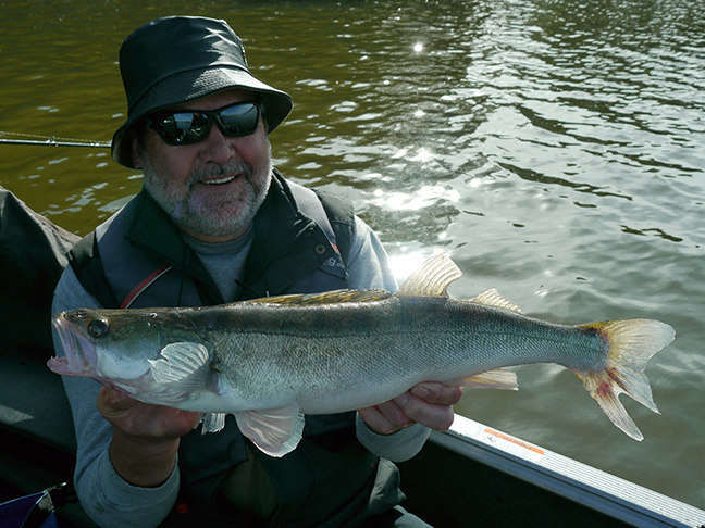 Pro-Guiding-Zander17041