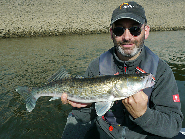Pro-Guiding-Zander17042