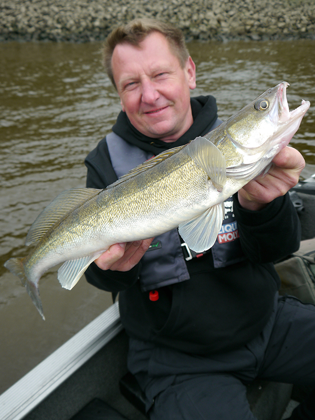 Pro-Guiding-Zander17066