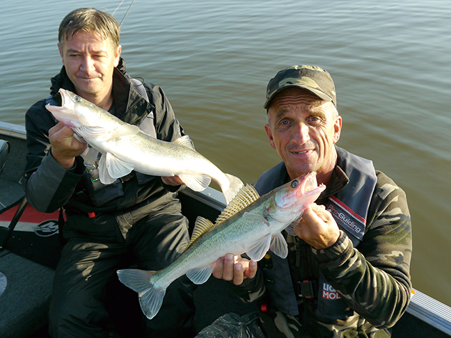 Pro-Guiding-Zander17073