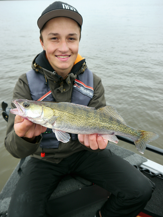Pro-Guiding-Zander17133