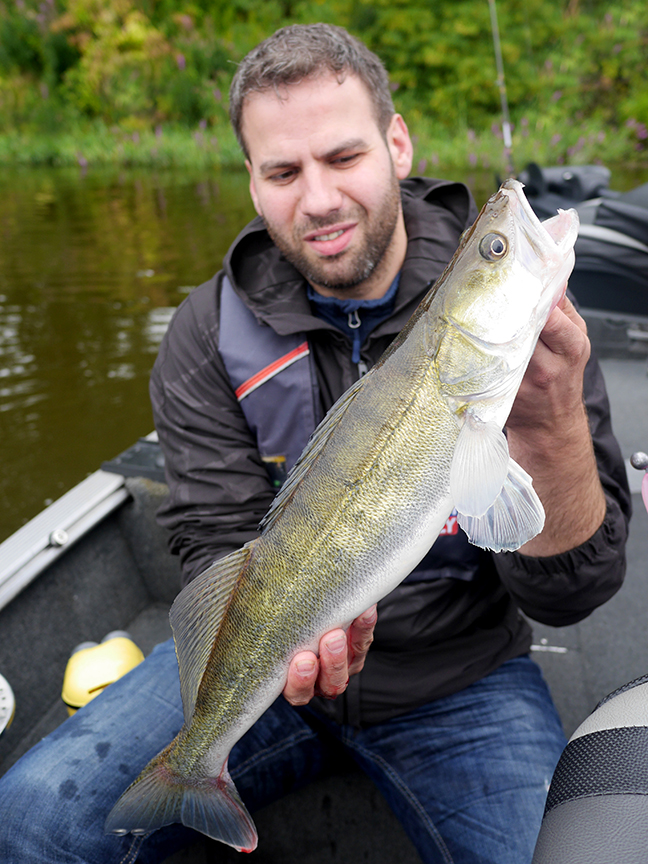 Pro-Guiding-Zander17143