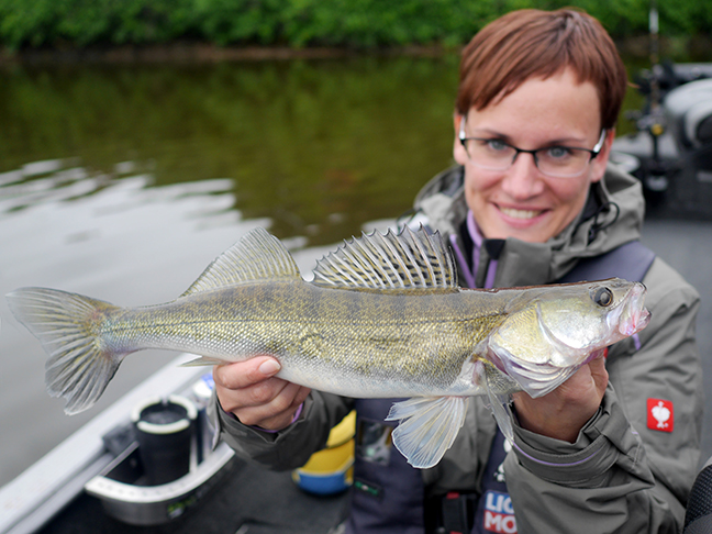 Pro-Guiding-Zander17144