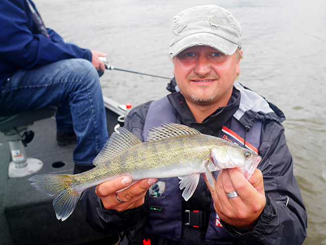 Pro-Guiding-Zander17157