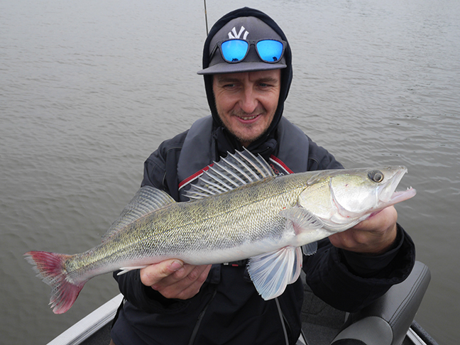 Pro-Guiding-Zander17160