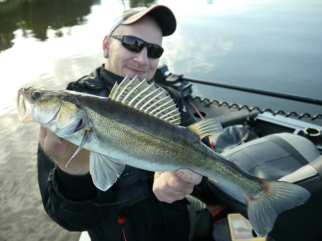 Pro-Guiding-Zander17167