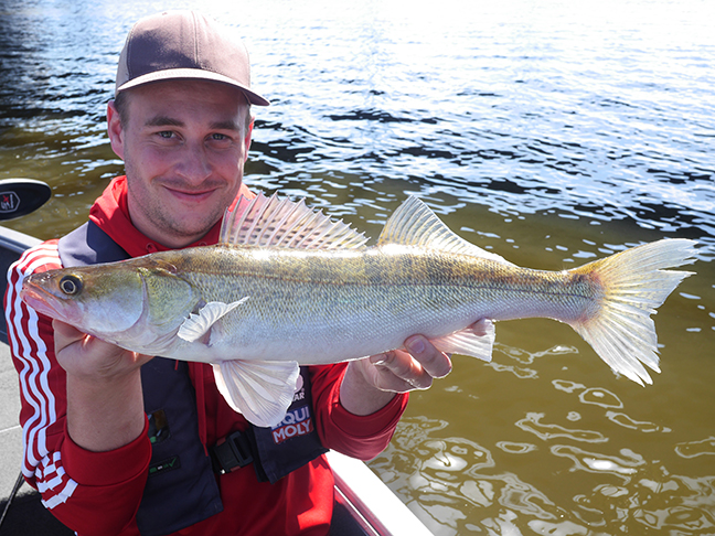 Pro-Guiding-Zander17172