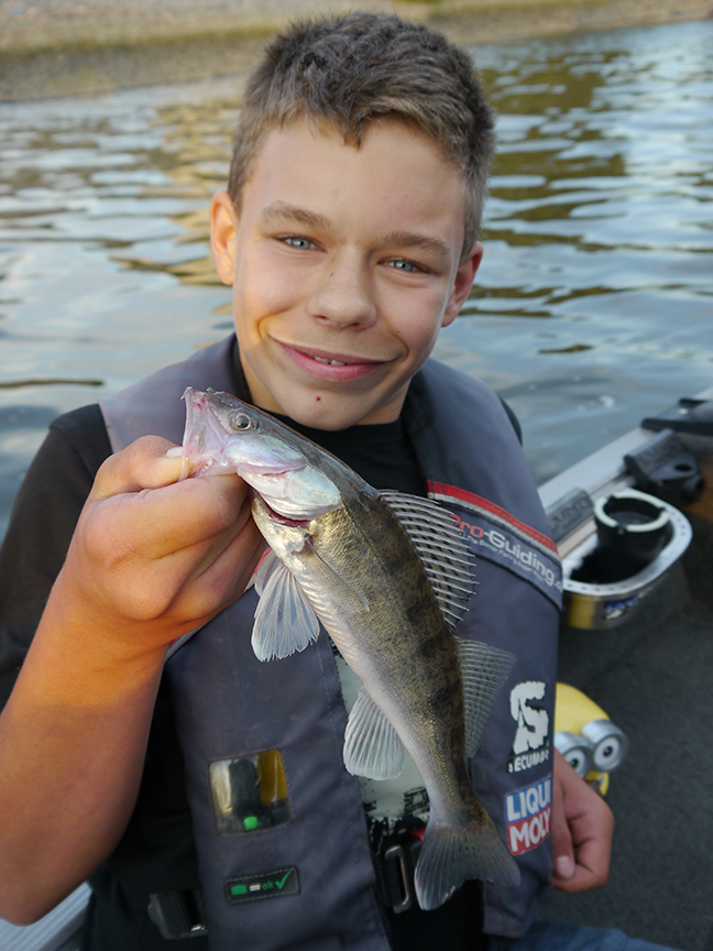 Pro-Guiding-Zander17176