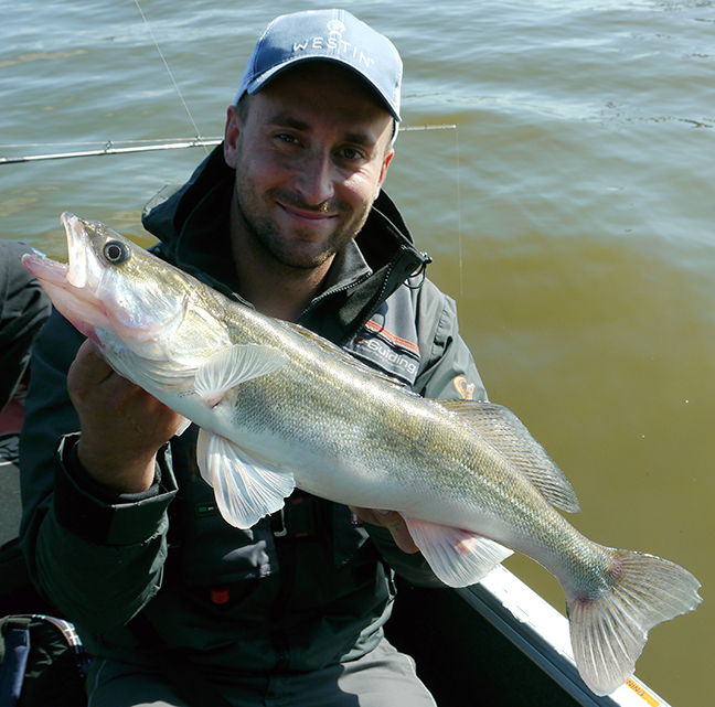 Pro-Guiding-Zander17190