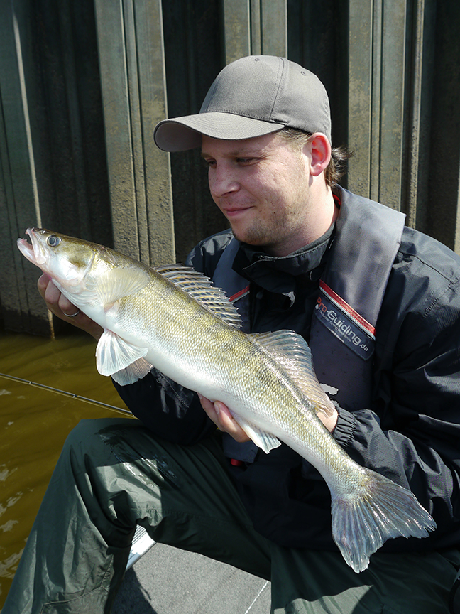 Pro-Guiding-Zander17195