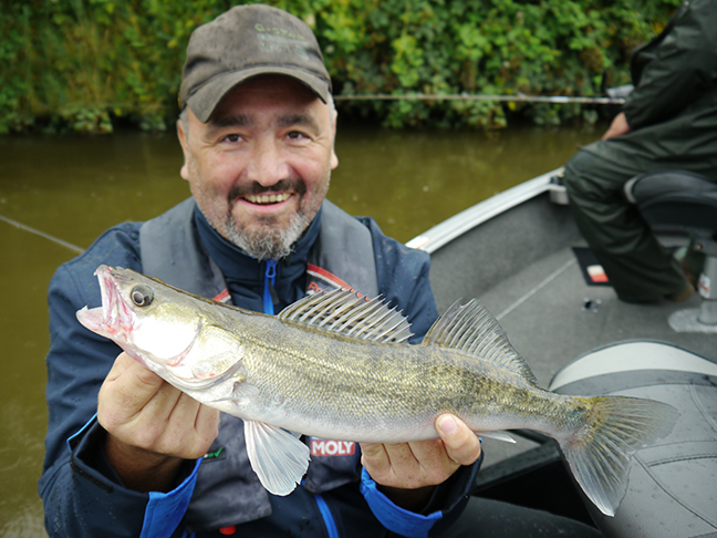 Pro-Guiding-Zander17199