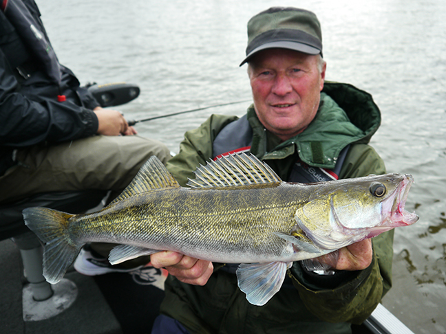 Pro-Guiding-Zander17204