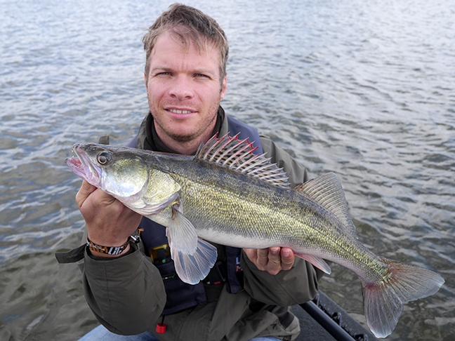 Pro-Guiding-Zander17207