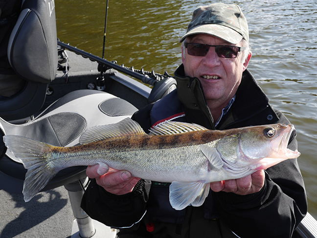 Pro-Guiding-Zander17210
