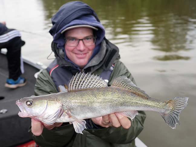 Pro-Guiding-Zander17212