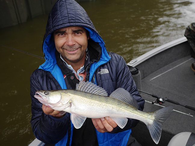 Pro-Guiding-Zander17213