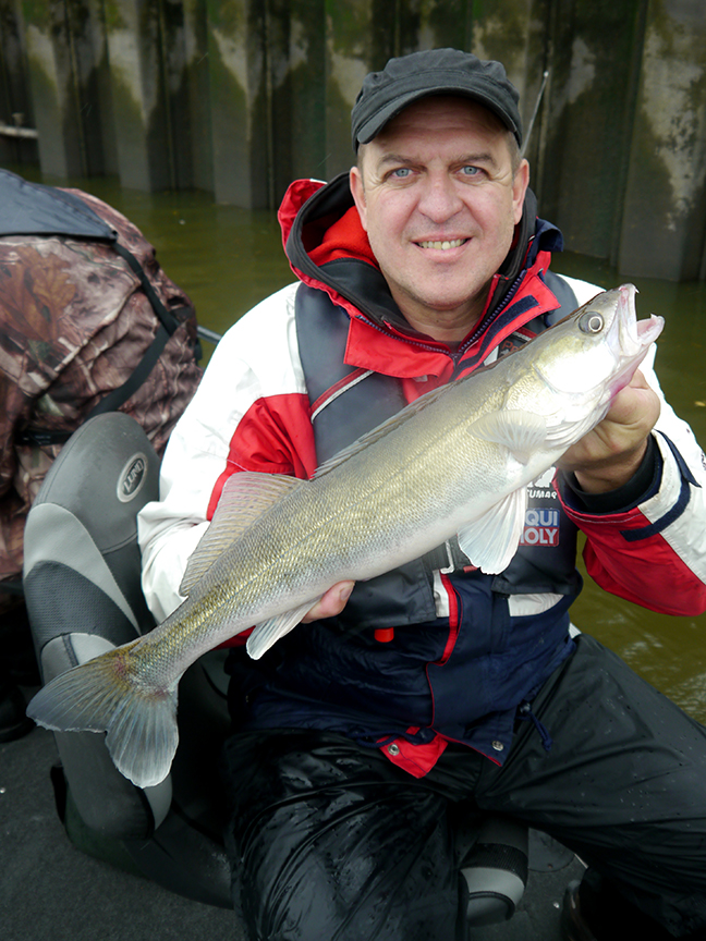 Pro-Guiding-Zander17270