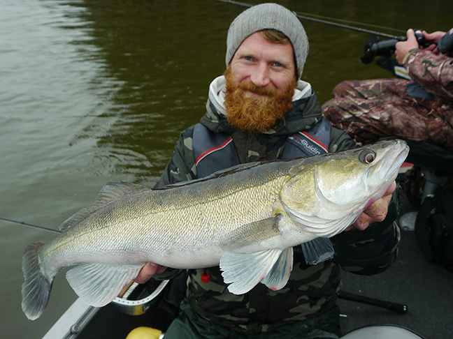 Pro-Guiding-Zander17271