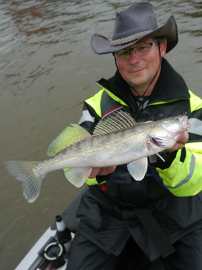 Pro-Guiding-Zander17279