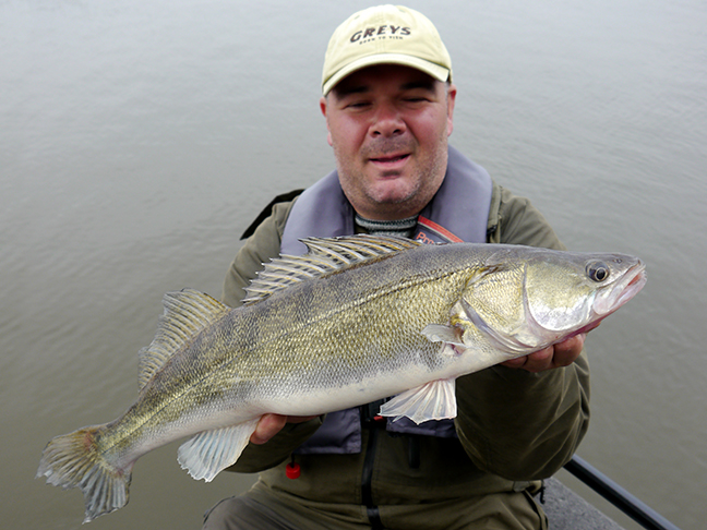 Pro-Guiding-Zander17304