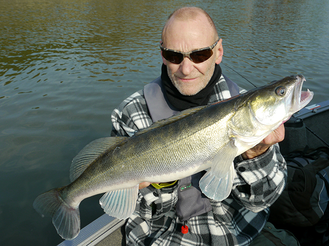 Pro-Guiding-Zander17305