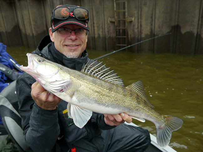 Pro-Guiding-Zander17250