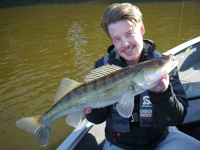 Pro-Guiding-Zander17254