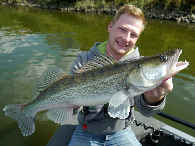 Pro-Guiding-Zander17255