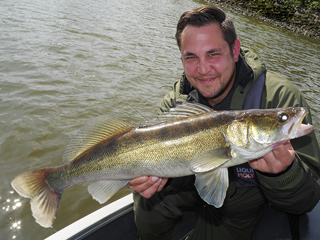 Pro-Guiding-Zander17257