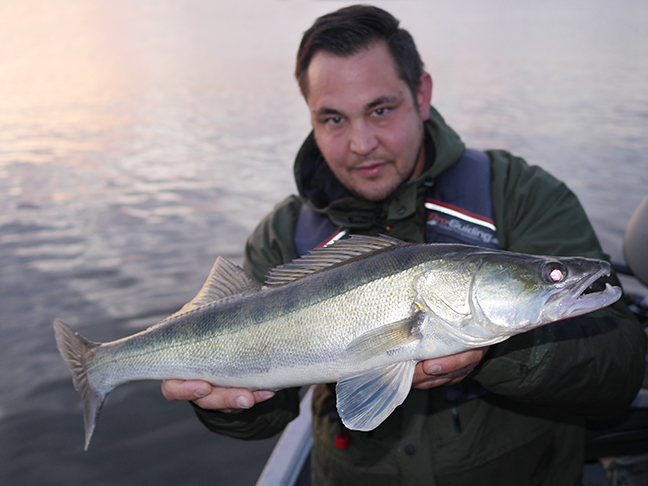 Pro-Guiding-Zander17263