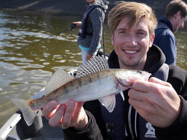 Pro-Guiding-Zander17267