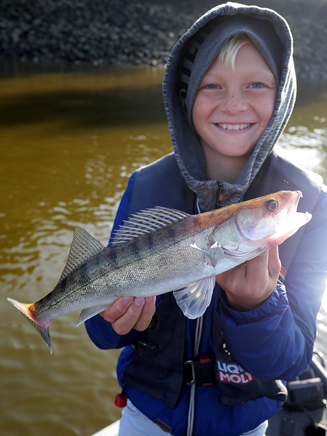 Pro-Guiding-Zander17268