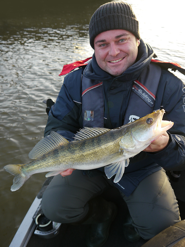 Pro-Guiding-Zander17289