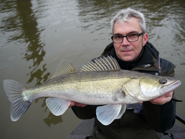 Pro-Guiding-Zander17297