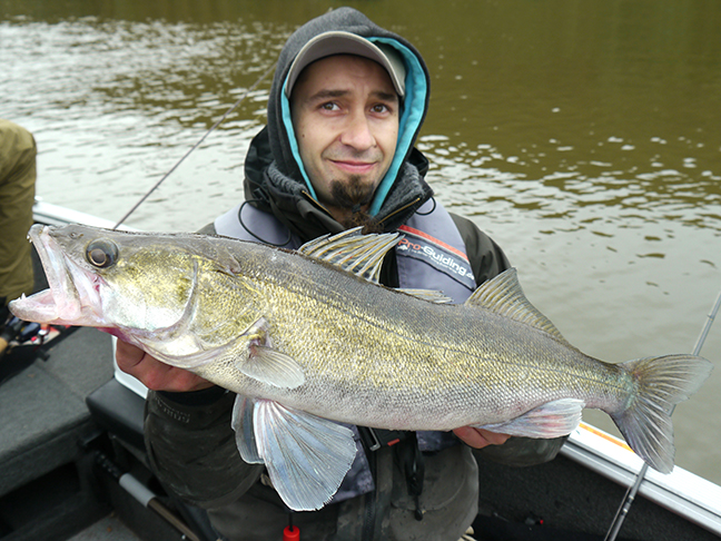 Pro-Guiding-Zander17298