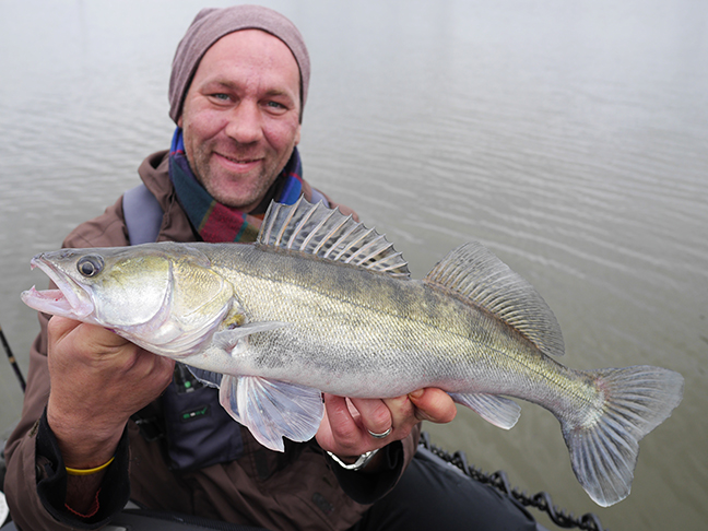 Pro-Guiding-Zander17299