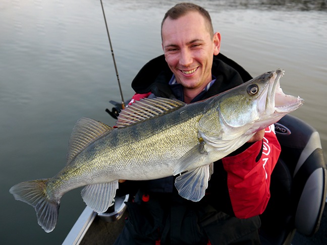 Pro-Guiding-Zander17301