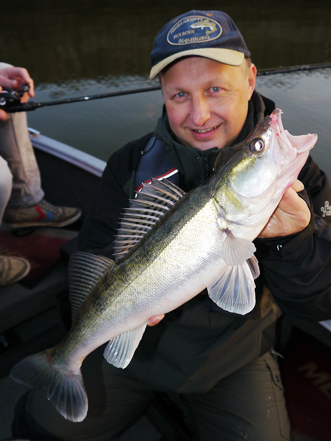 Pro-Guiding-Zander17302