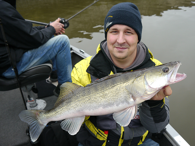 Pro-Guiding-Zander17303